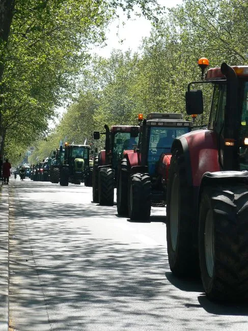 Sanctions, responsabilité et contrôle routier : ce que vous risquez