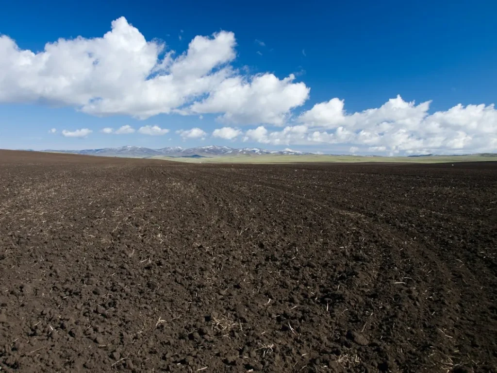 A quoi sert un cultivateur ?