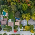 Hauteur des arbres en limite de propriété