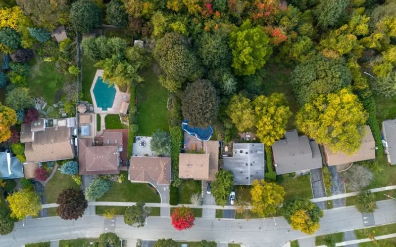 Hauteur des arbres en limite de propriété